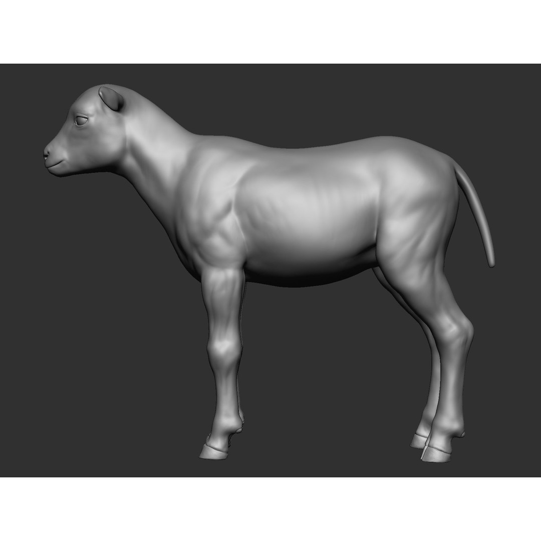 Domestic Baby Animals 3D Model – Realistic Farm Animals, OBJ & ZTL - View 55