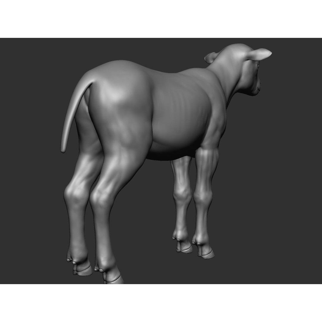 Domestic Baby Animals 3D Model – Realistic Farm Animals, OBJ & ZTL - View 56