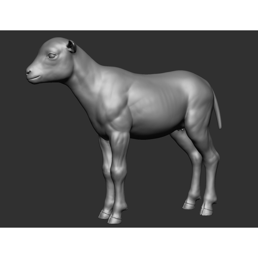 Domestic Baby Animals 3D Model – Realistic Farm Animals, OBJ & ZTL - View 57