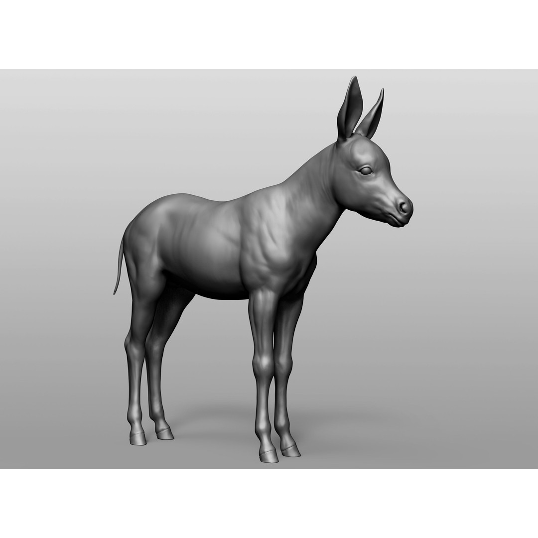 Domestic Baby Animals 3D Model – Realistic Farm Animals, OBJ & ZTL - View 58