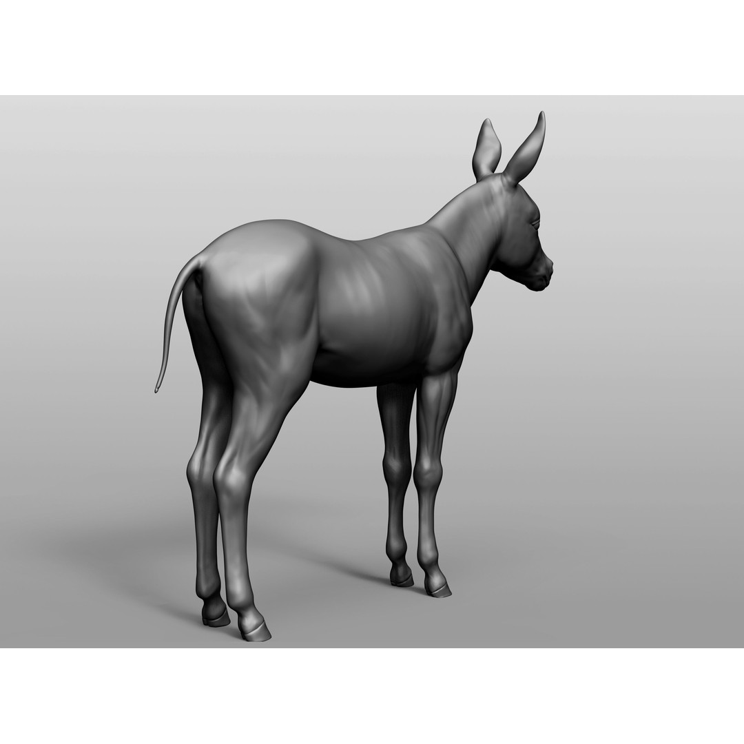 Domestic Baby Animals 3D Model – Realistic Farm Animals, OBJ & ZTL - View 59