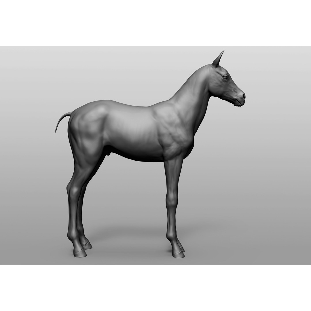 Domestic Baby Animals 3D Model – Realistic Farm Animals, OBJ & ZTL - View 6