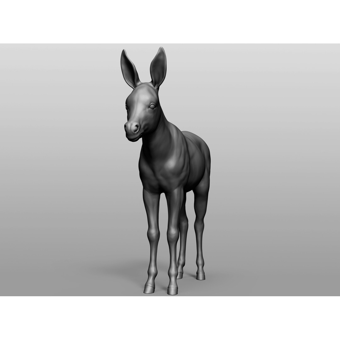 Domestic Baby Animals 3D Model – Realistic Farm Animals, OBJ & ZTL - View 60