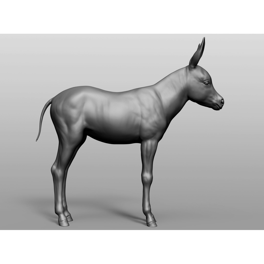 Domestic Baby Animals 3D Model – Realistic Farm Animals, OBJ & ZTL - View 61