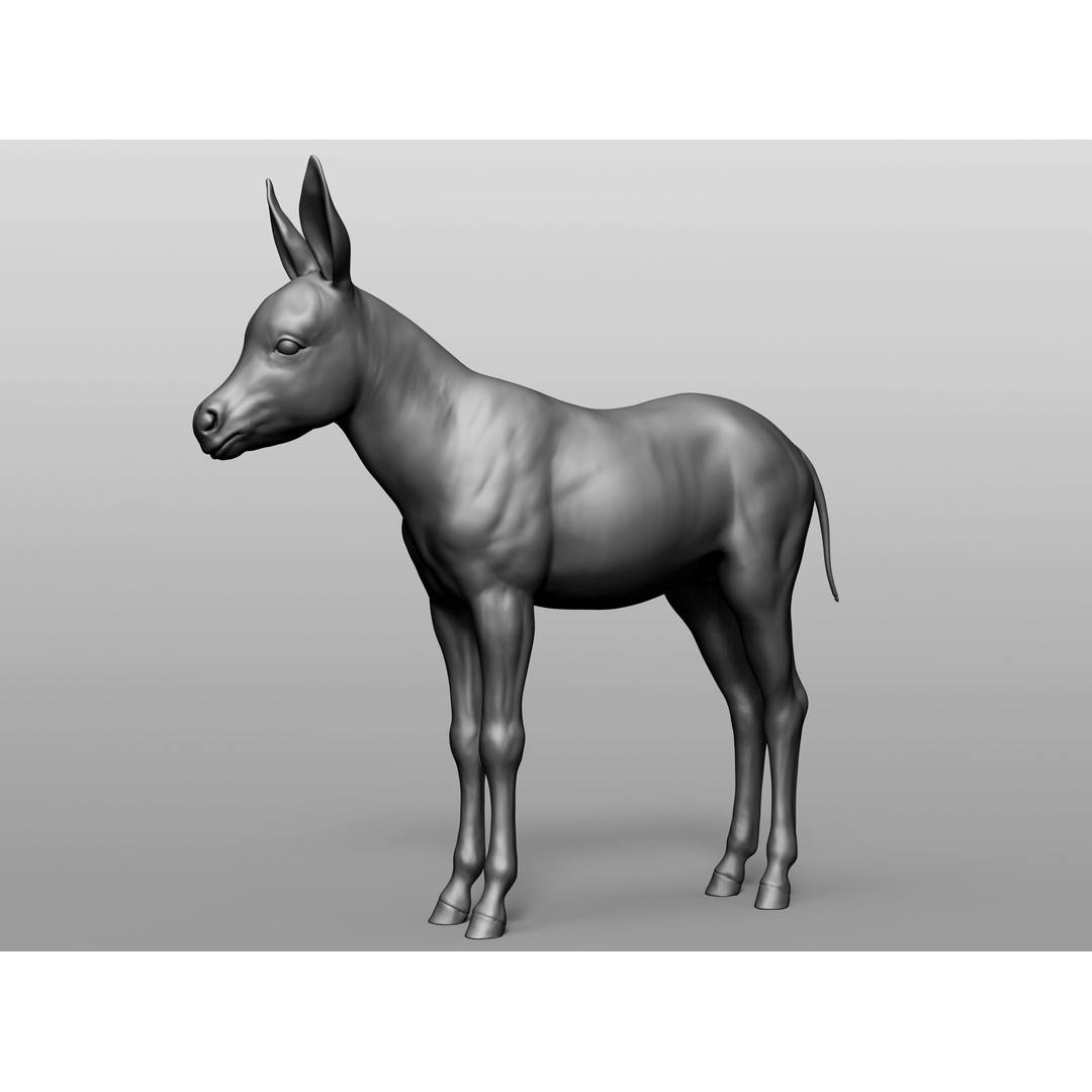 Domestic Baby Animals 3D Model – Realistic Farm Animals, OBJ & ZTL - View 62