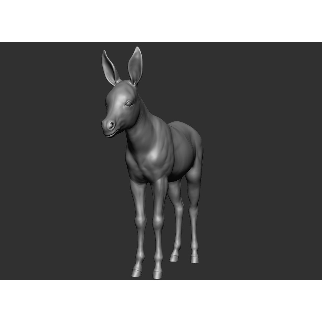 Domestic Baby Animals 3D Model – Realistic Farm Animals, OBJ & ZTL - View 63