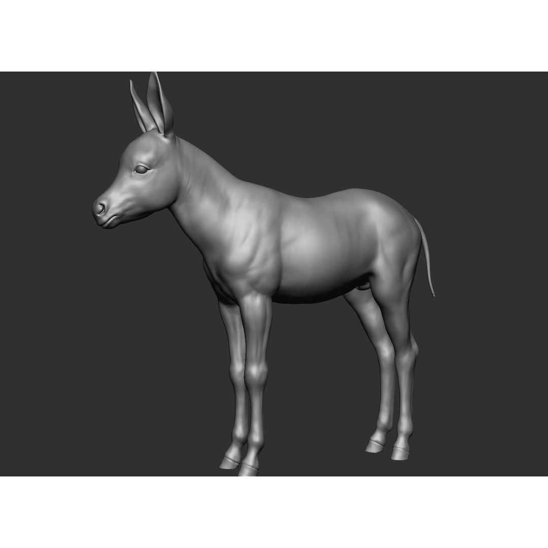 Domestic Baby Animals 3D Model – Realistic Farm Animals, OBJ & ZTL - View 64