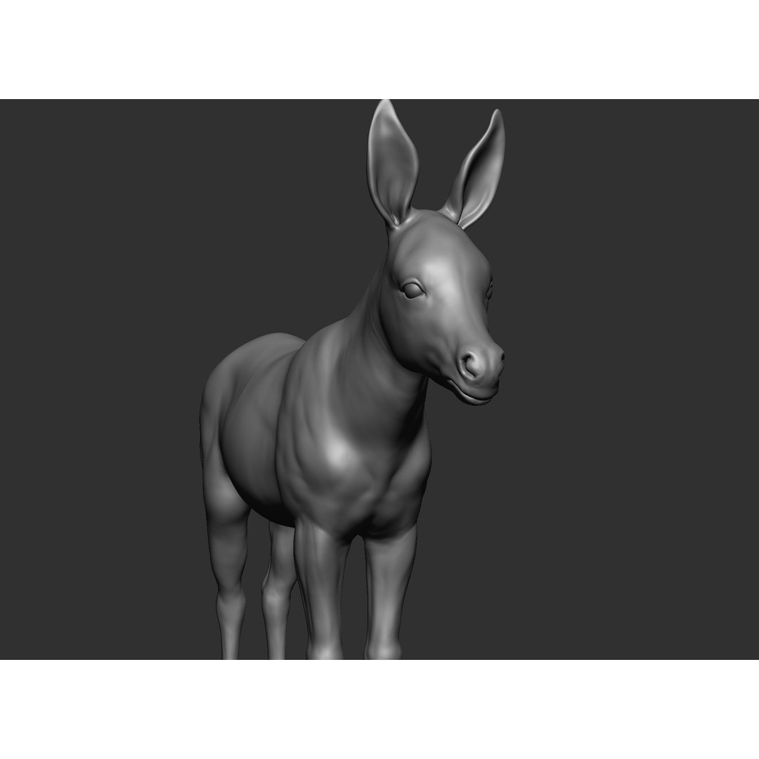 Domestic Baby Animals 3D Model – Realistic Farm Animals, OBJ & ZTL - View 65