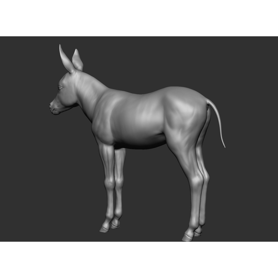 Domestic Baby Animals 3D Model – Realistic Farm Animals, OBJ & ZTL - View 66