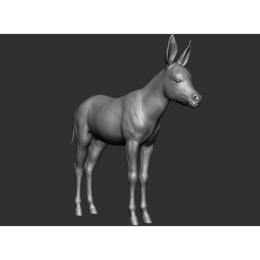 Domestic Baby Animals 3D Model – Realistic Farm Animals, OBJ & ZTL - View 67