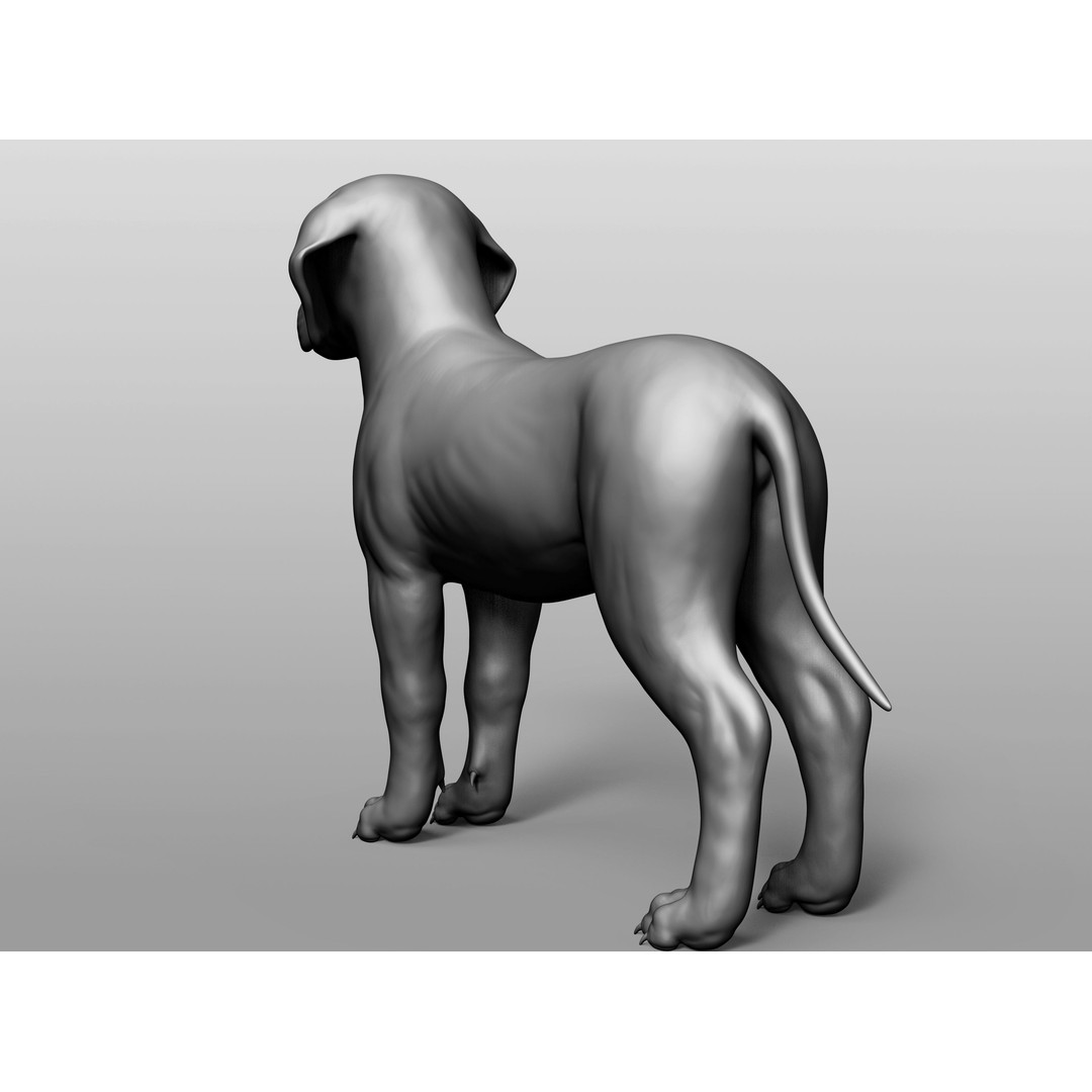 Domestic Baby Animals 3D Model – Realistic Farm Animals, OBJ & ZTL - View 68