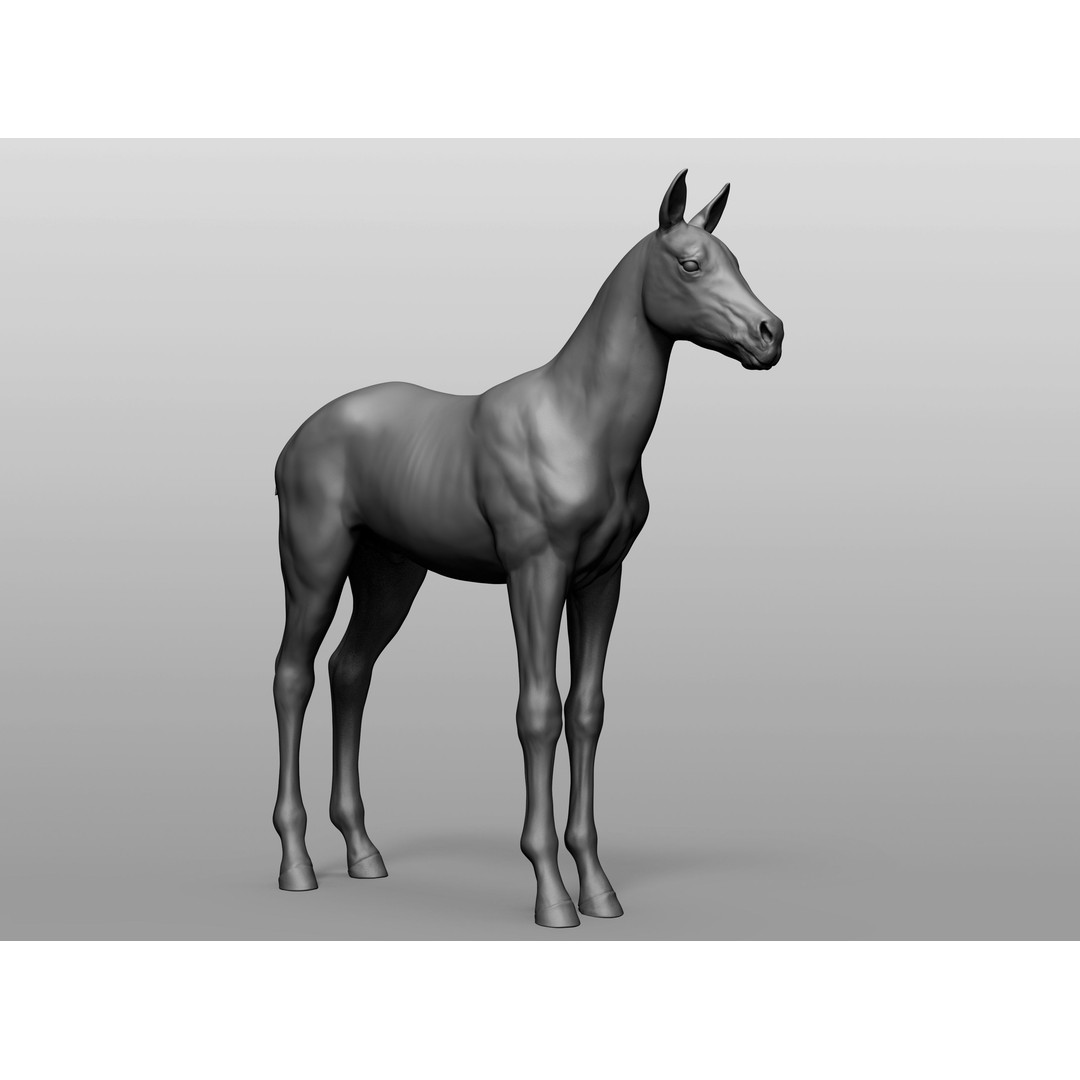 Domestic Baby Animals 3D Model – Realistic Farm Animals, OBJ & ZTL - View 7