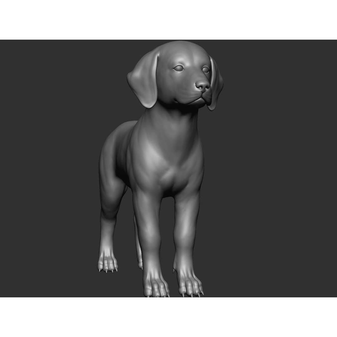 Domestic Baby Animals 3D Model – Realistic Farm Animals, OBJ & ZTL - View 73