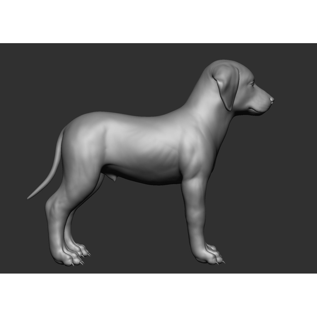 Domestic Baby Animals 3D Model – Realistic Farm Animals, OBJ & ZTL - View 74