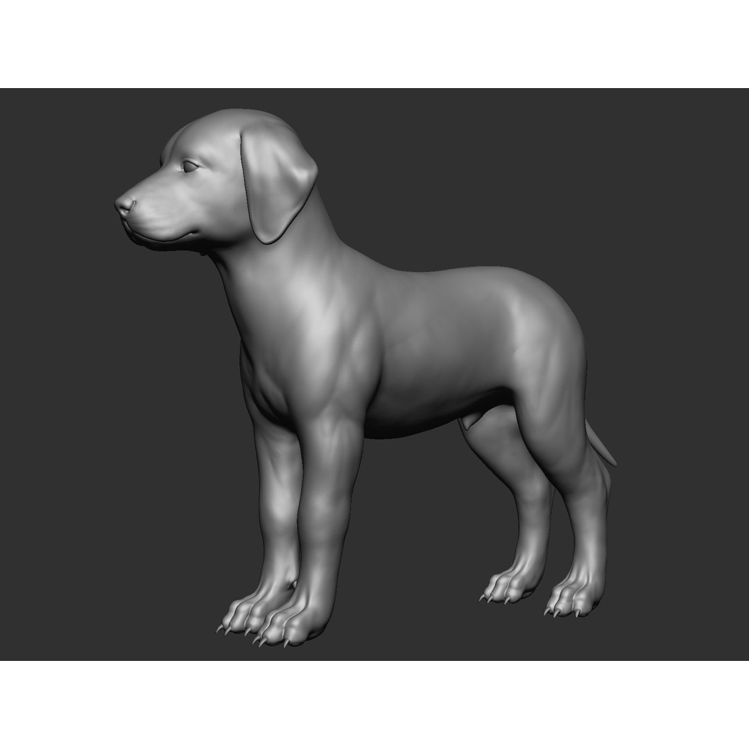 Domestic Baby Animals 3D Model – Realistic Farm Animals, OBJ & ZTL - View 75