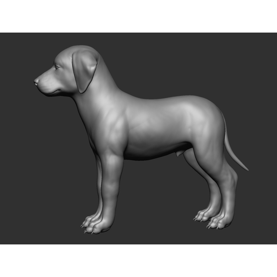 Domestic Baby Animals 3D Model – Realistic Farm Animals, OBJ & ZTL - View 76