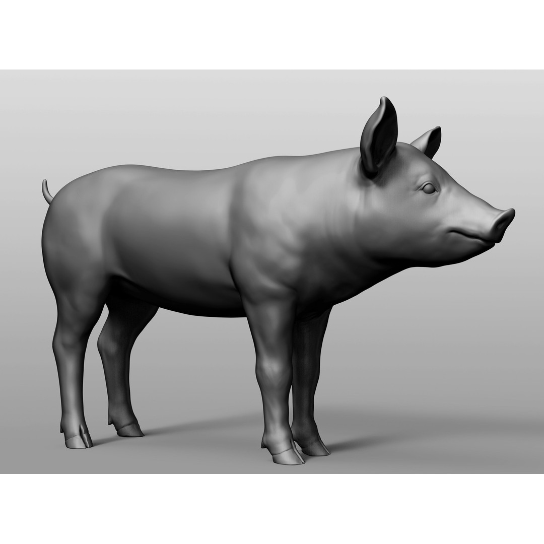 Domestic Baby Animals 3D Model – Realistic Farm Animals, OBJ & ZTL - View 77