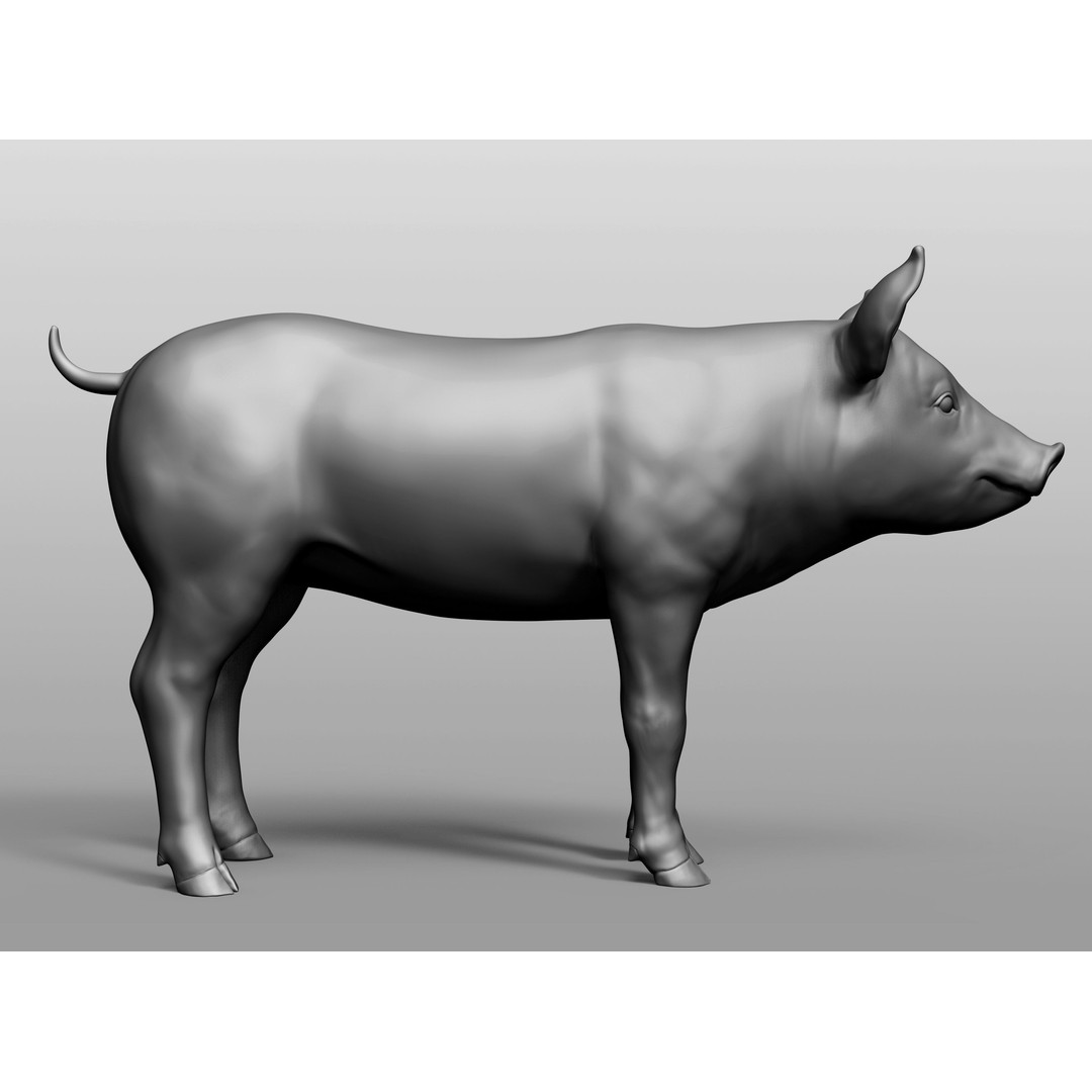 Domestic Baby Animals 3D Model – Realistic Farm Animals, OBJ & ZTL - View 78