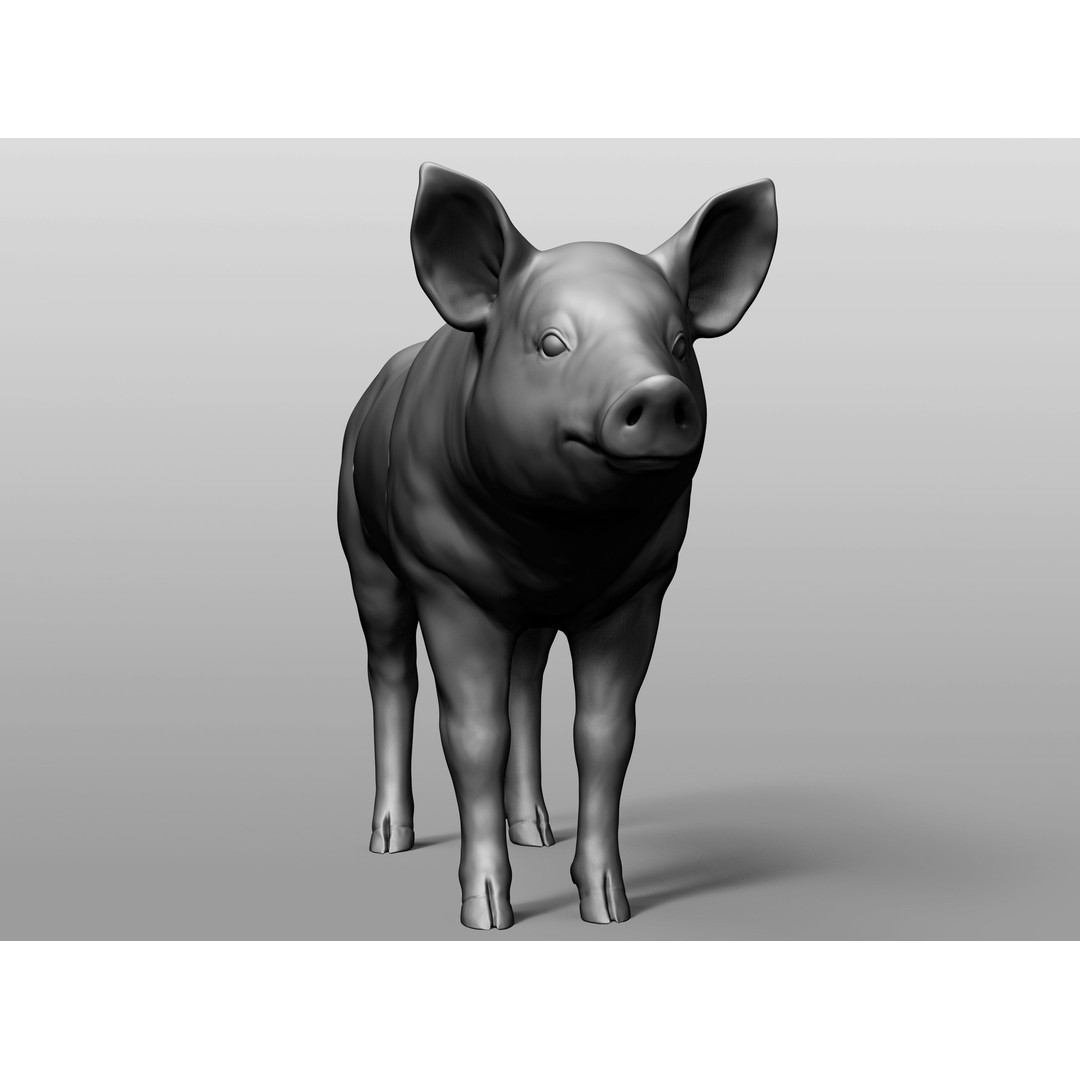 Domestic Baby Animals 3D Model – Realistic Farm Animals, OBJ & ZTL - View 79