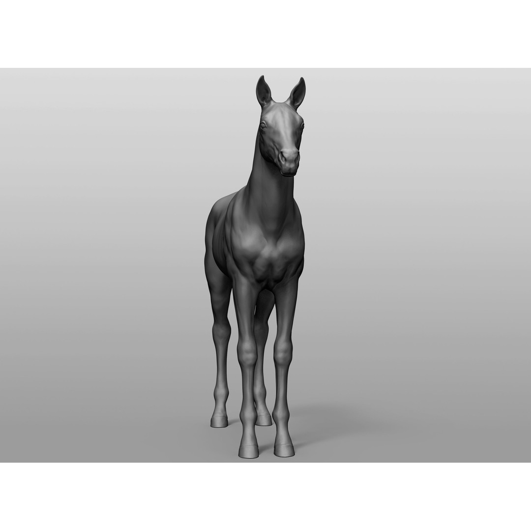 Domestic Baby Animals 3D Model – Realistic Farm Animals, OBJ & ZTL - View 8