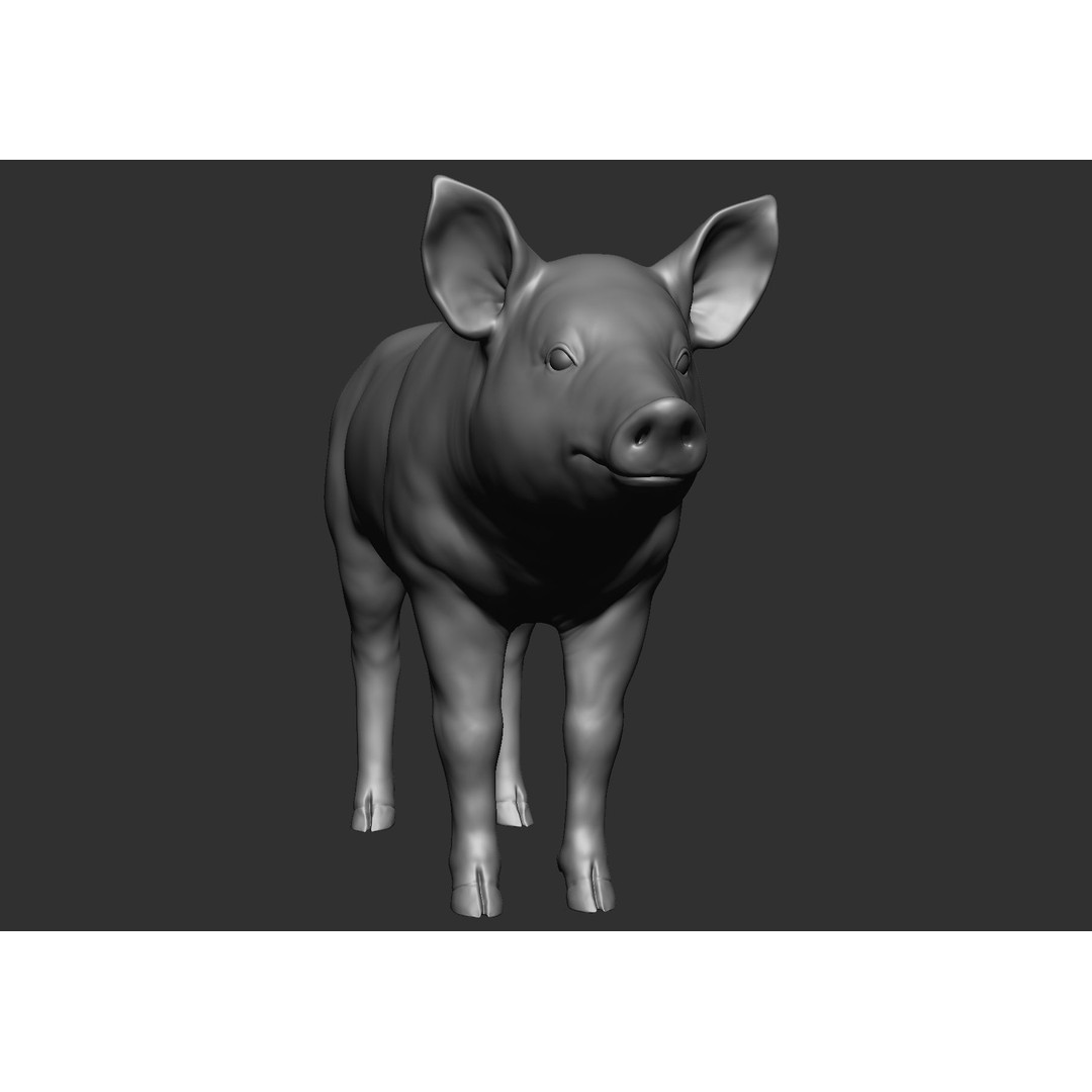Domestic Baby Animals 3D Model – Realistic Farm Animals, OBJ & ZTL - View 80