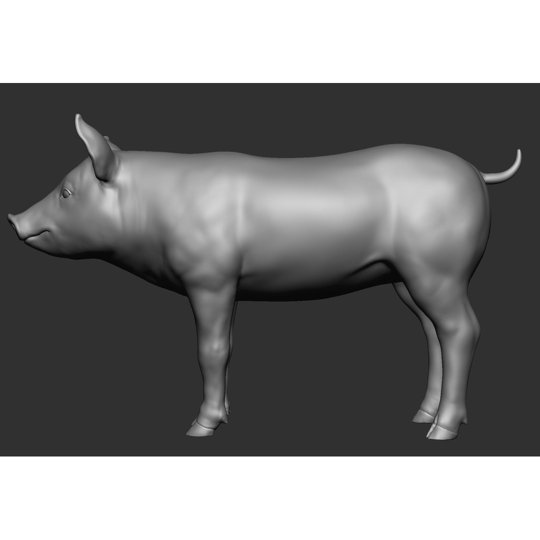 Domestic Baby Animals 3D Model – Realistic Farm Animals, OBJ & ZTL - View 81
