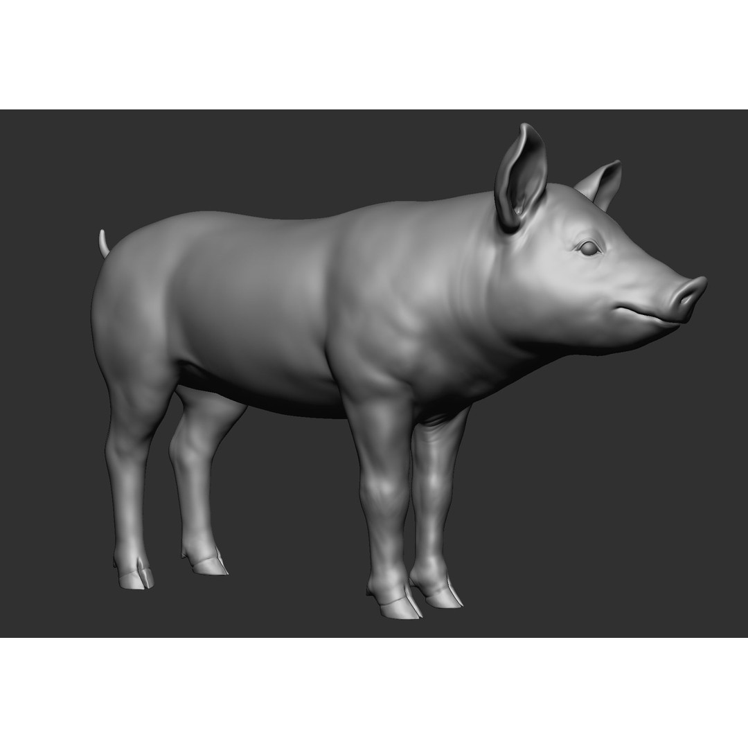 Domestic Baby Animals 3D Model – Realistic Farm Animals, OBJ & ZTL - View 82