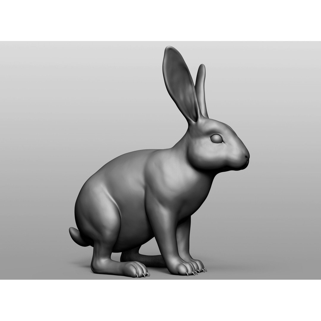 Domestic Baby Animals 3D Model – Realistic Farm Animals, OBJ & ZTL - View 84