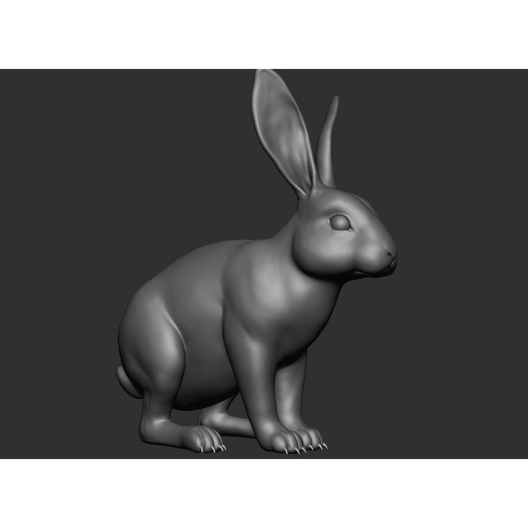Domestic Baby Animals 3D Model – Realistic Farm Animals, OBJ & ZTL - View 87