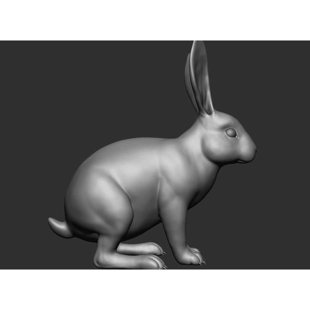 Domestic Baby Animals 3D Model – Realistic Farm Animals, OBJ & ZTL - View 89