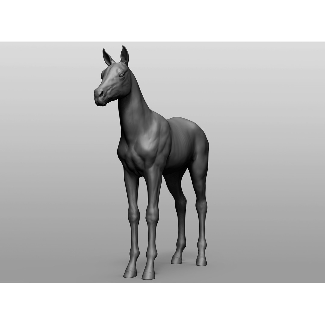 Domestic Baby Animals 3D Model – Realistic Farm Animals, OBJ & ZTL - View 9