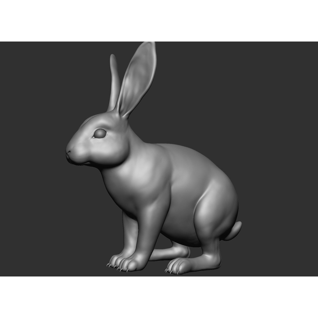 Domestic Baby Animals 3D Model – Realistic Farm Animals, OBJ & ZTL - View 90