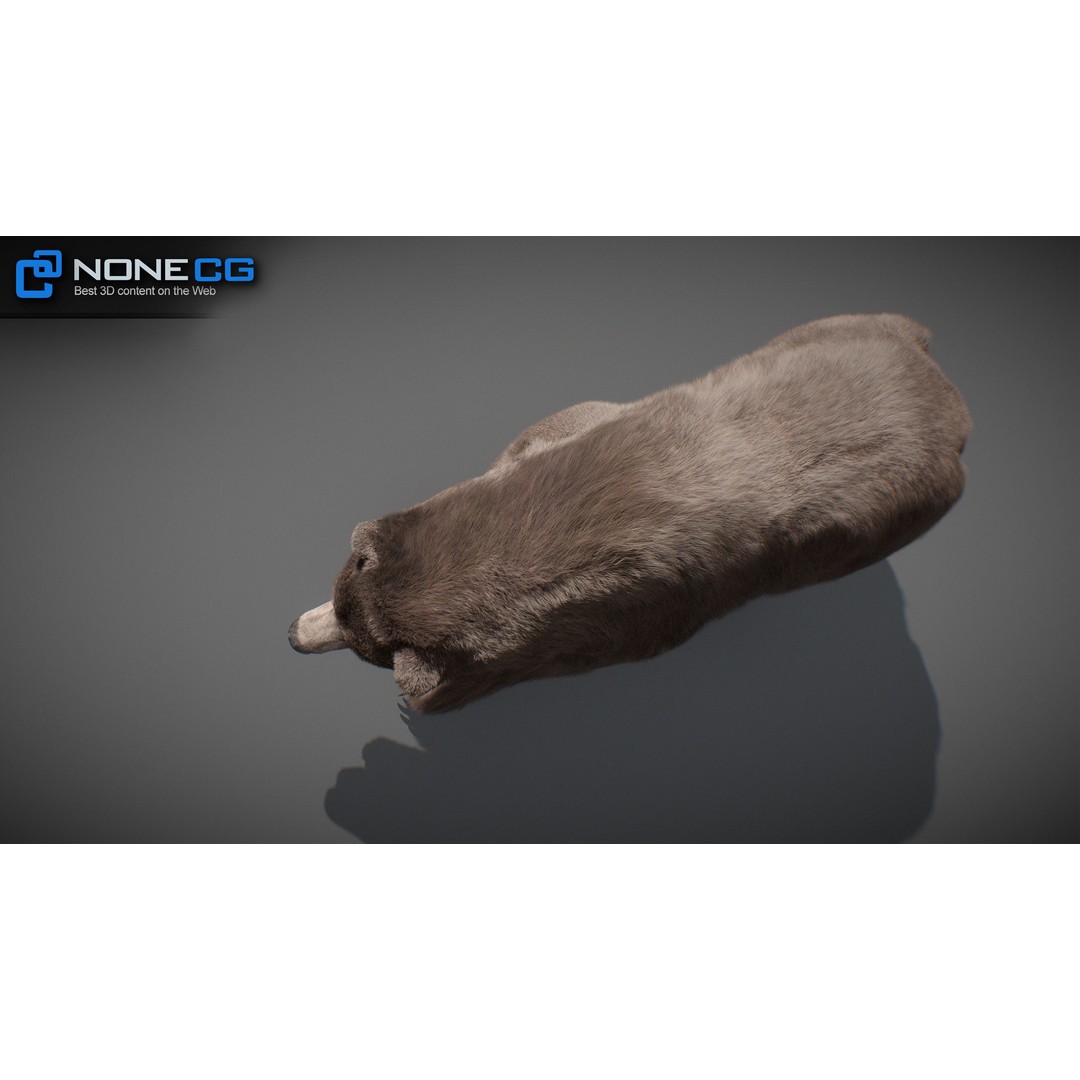 Animated Bear 3D Model – Rigged Grizzly & Polar Bears, FBX