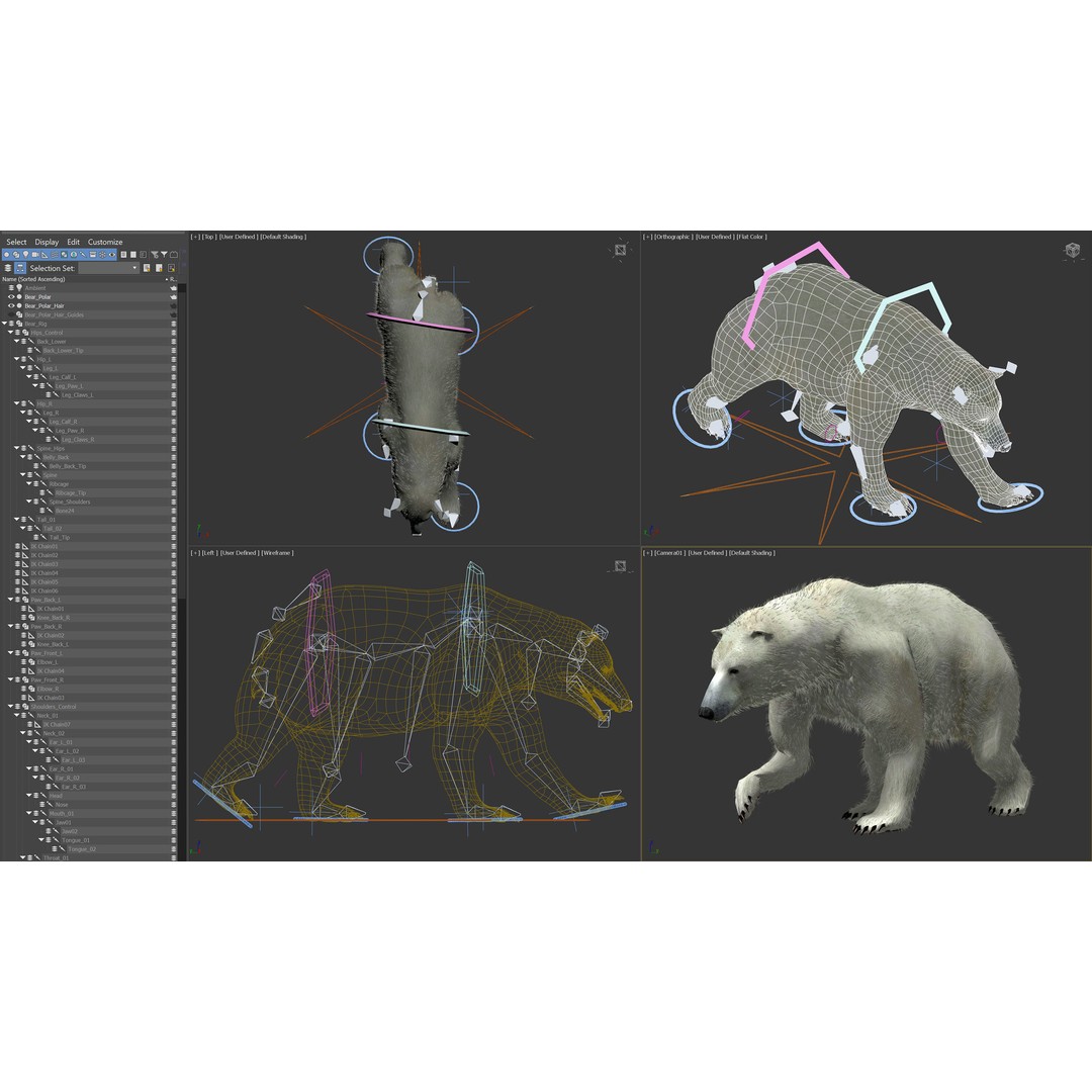 Animated Bear 3D Model – Rigged Grizzly & Polar Bears, FBX - View 10