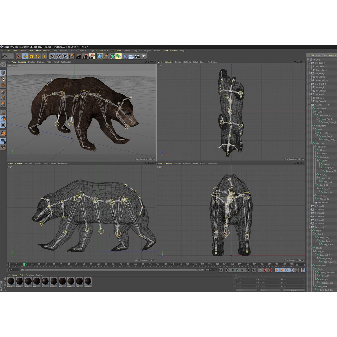 Animated Bear 3D Model – Rigged Grizzly & Polar Bears, FBX - View 11