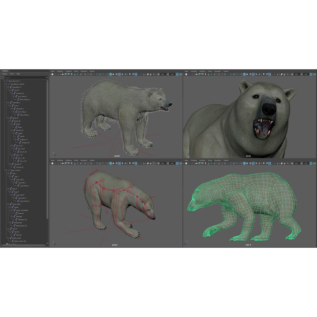 Animated Bear 3D Model – Rigged Grizzly & Polar Bears, FBX - View 12