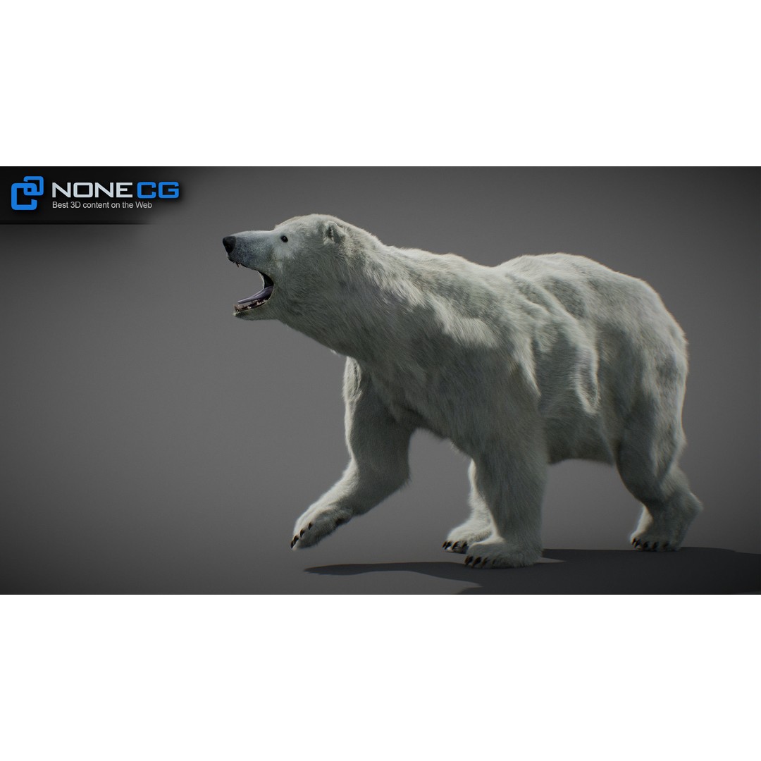 Animated Bear 3D Model – Rigged Grizzly & Polar Bears, FBX - View 15