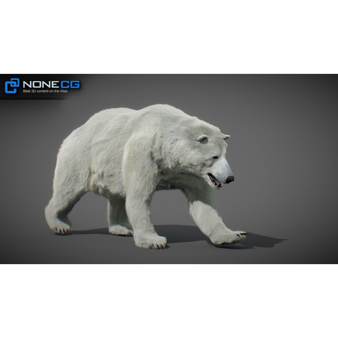 Animated Bear 3D Model – Rigged Grizzly & Polar Bears, FBX - View 17