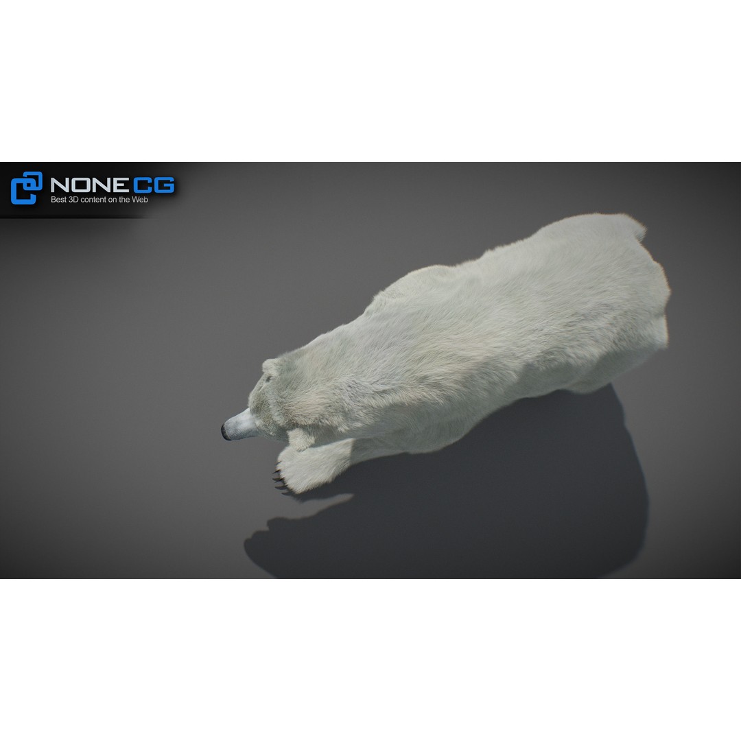 Animated Bear 3D Model – Rigged Grizzly & Polar Bears, FBX - View 19