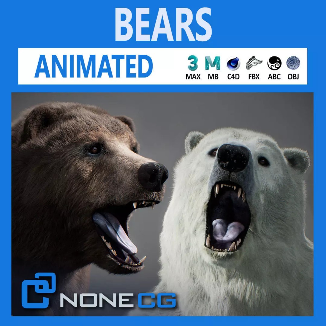 Animated Bear 3D Model – Rigged Grizzly & Polar Bears, FBX - View 2