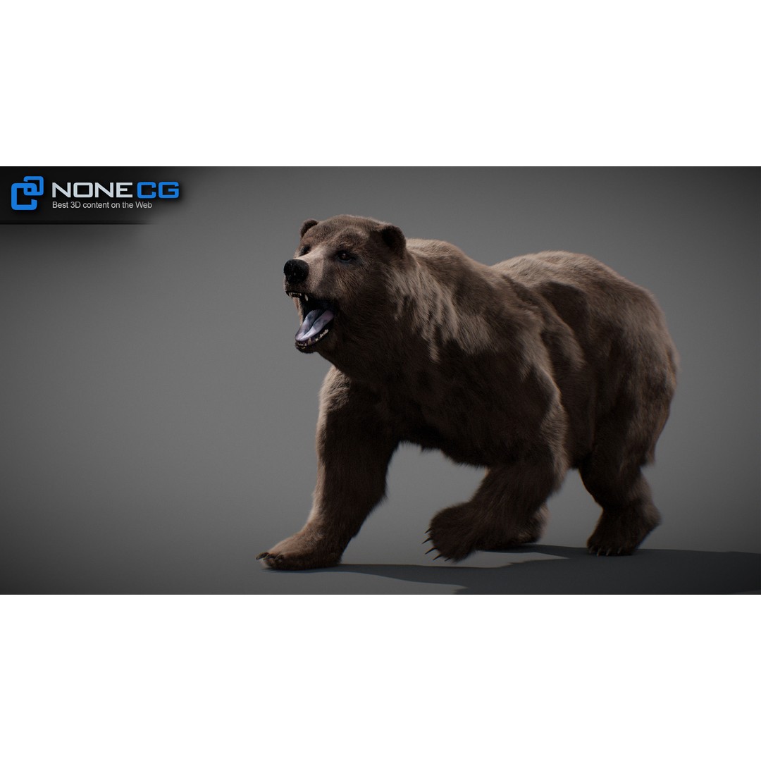 Animated Bear 3D Model – Rigged Grizzly & Polar Bears, FBX - View 20