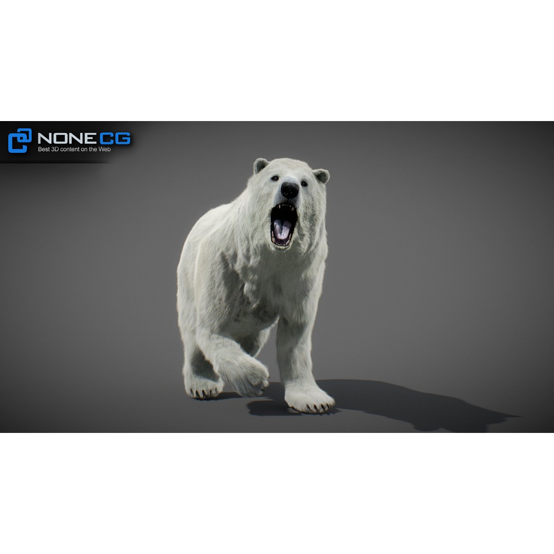 Animated Bear 3D Model – Rigged Grizzly & Polar Bears, FBX - View 21