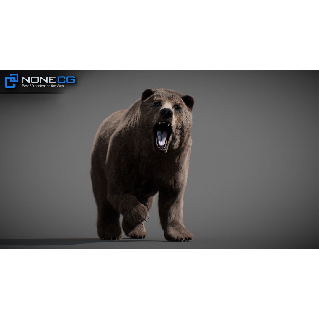 Animated Bear 3D Model – Rigged Grizzly & Polar Bears, FBX - View 22