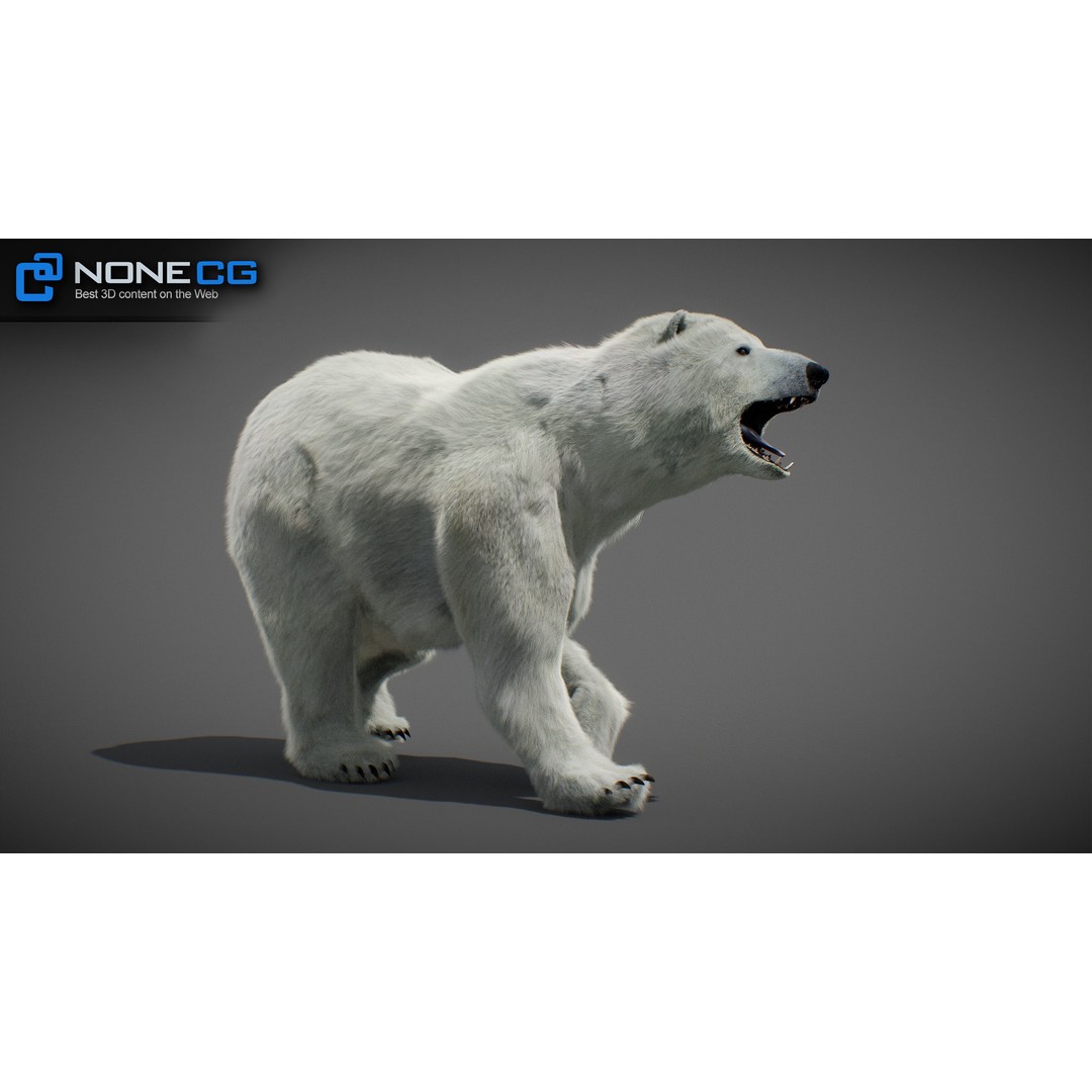 Animated Bear 3D Model – Rigged Grizzly & Polar Bears, FBX - View 23