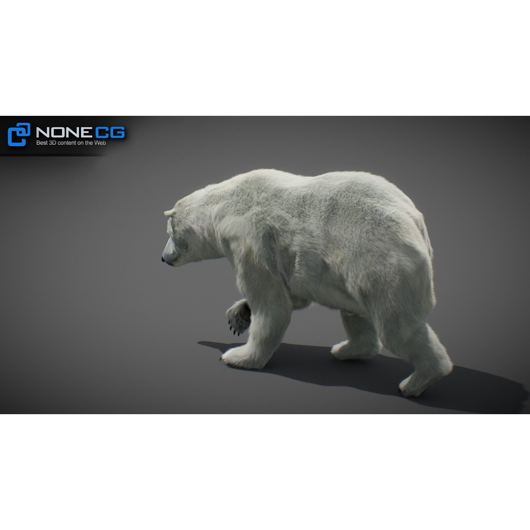 Animated Bear 3D Model – Rigged Grizzly & Polar Bears, FBX - View 25