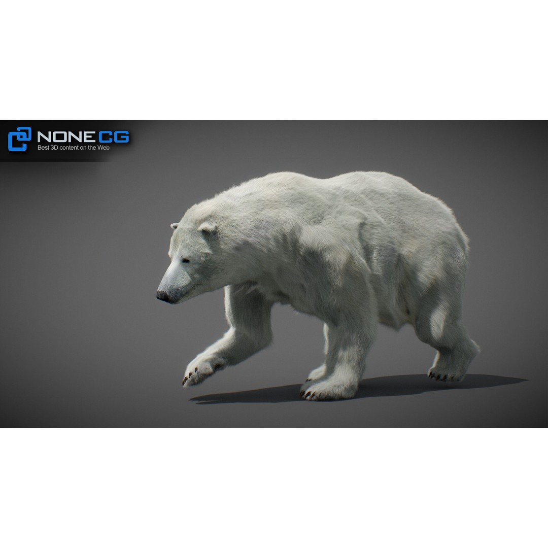 Animated Bear 3D Model – Rigged Grizzly & Polar Bears, FBX - View 29