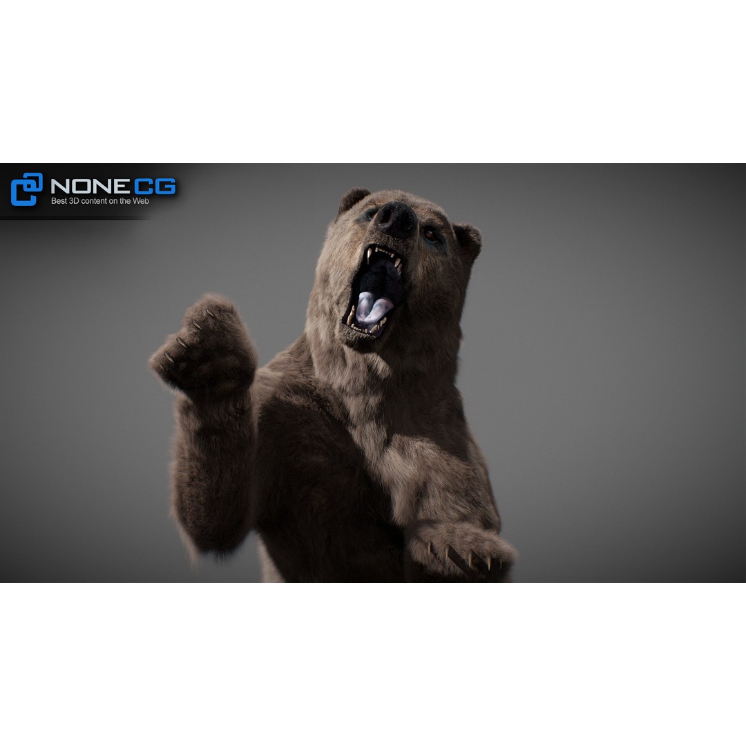 Animated Bear 3D Model – Rigged Grizzly & Polar Bears, FBX - View 5