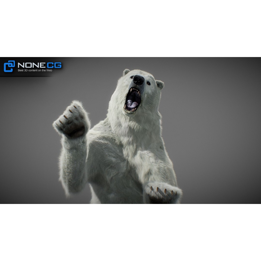 Animated Bear 3D Model – Rigged Grizzly & Polar Bears, FBX - View 6