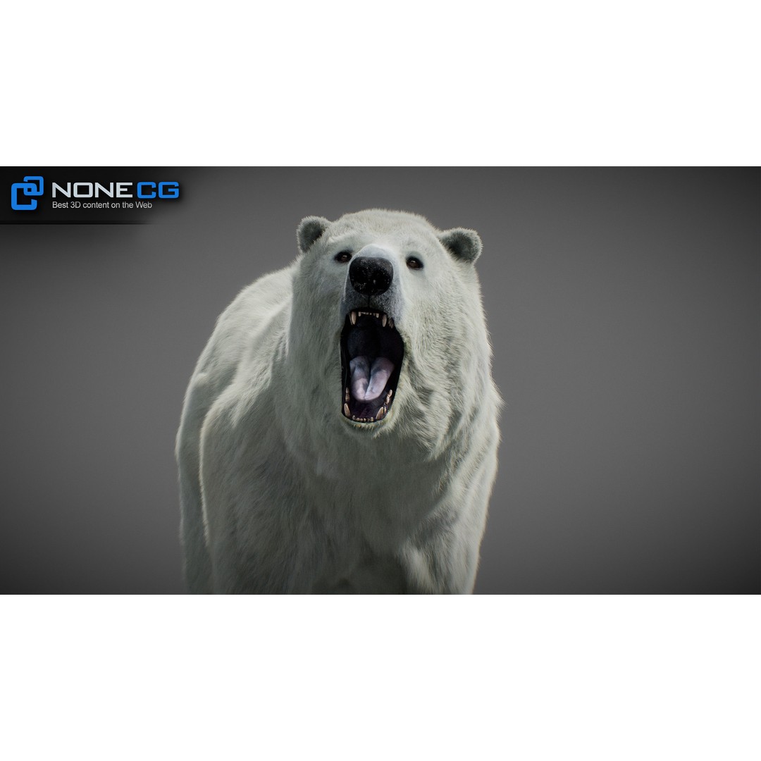 Animated Bear 3D Model – Rigged Grizzly & Polar Bears, FBX - View 8