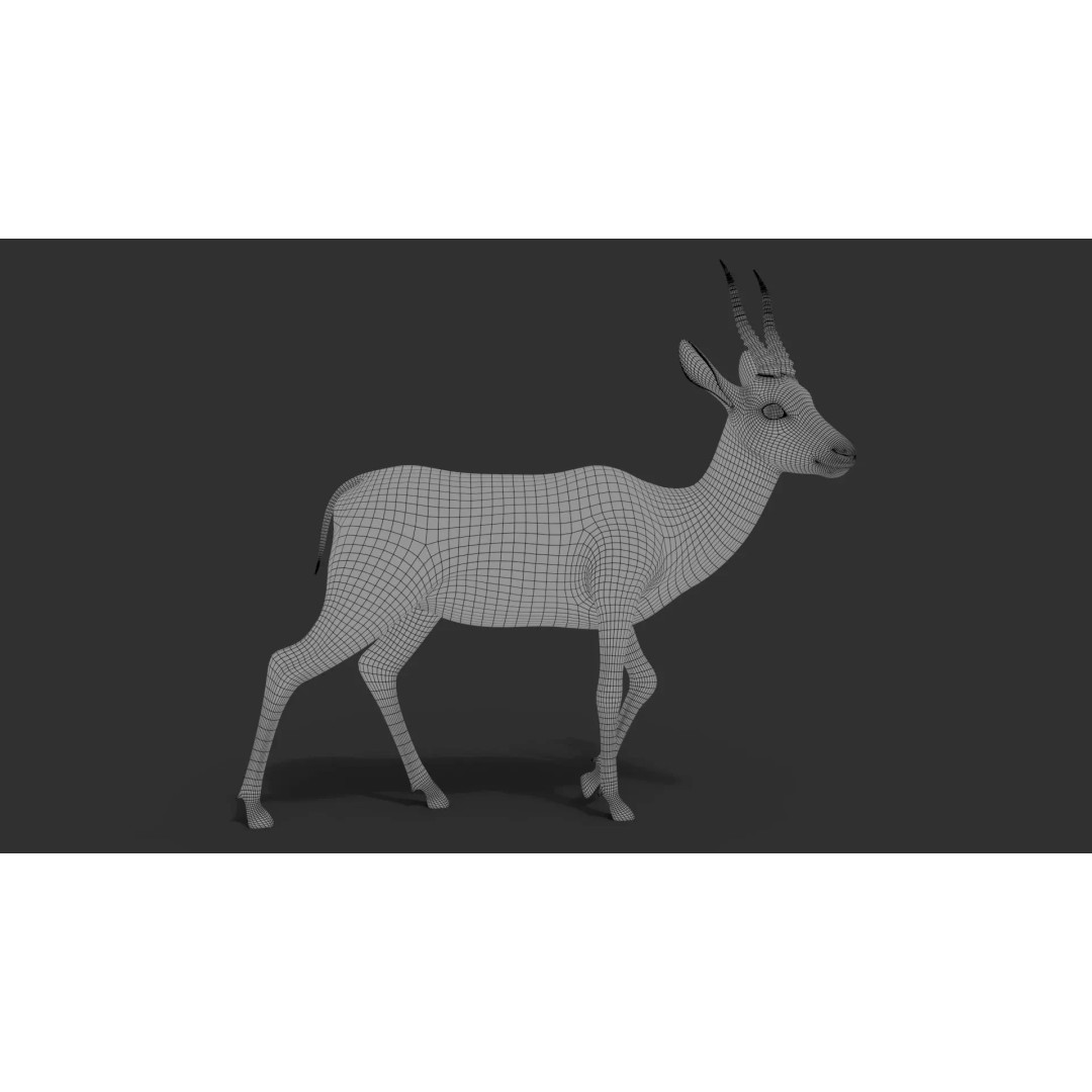 Gazelle 3D Model – Rigged High-Detail Animal Asset, Maya - View 16